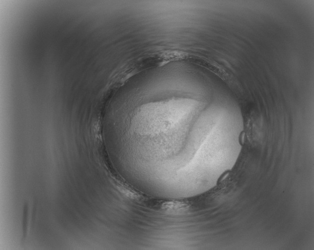 X0000062910714200601271739