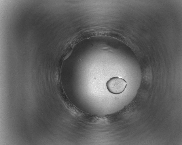 X0000062910715200601271739