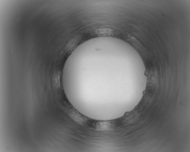 X0000062910717200601271739