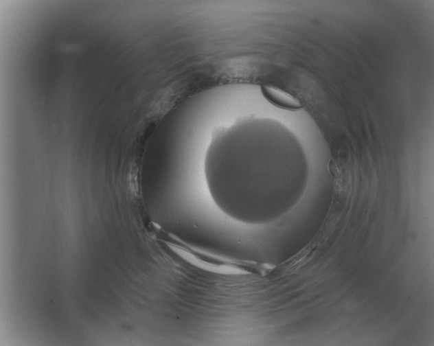 X0000062910718200601271739