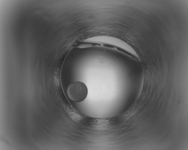 X0000062910719200601271739