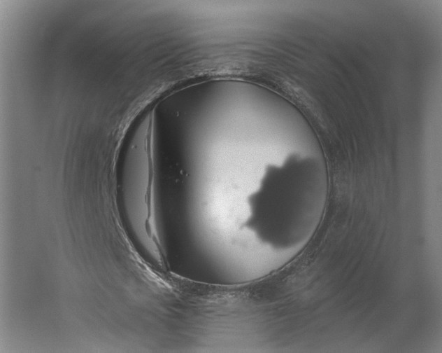 X0000062910721200601271738