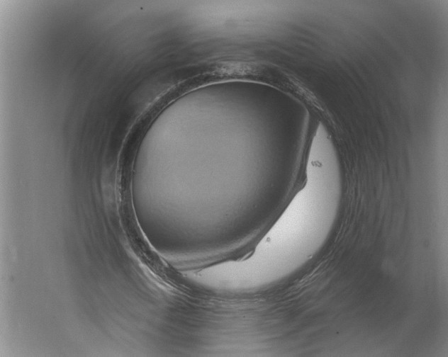 X0000062910722200601271738