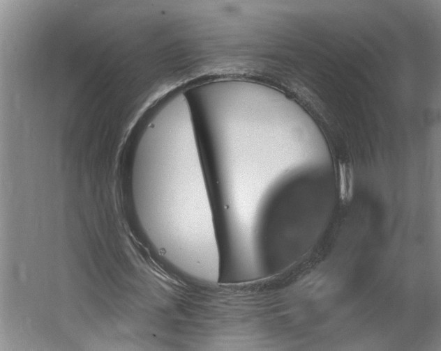 X0000062910723200601271738