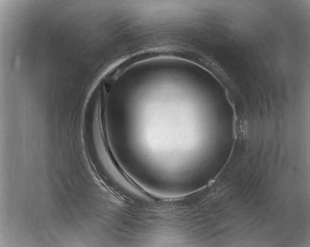 X0000062910724200601271739