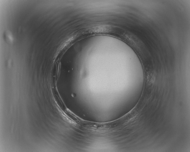 X0000062910725200601271739