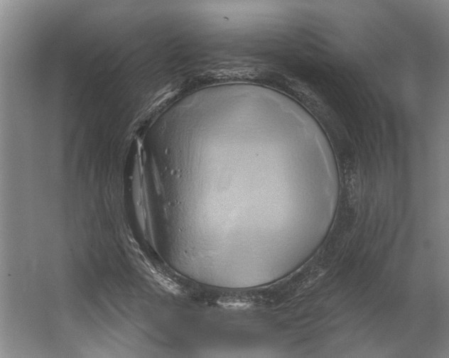 X0000062910729200601271739