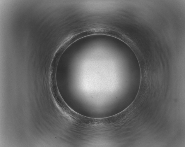 X0000062910730200601271739