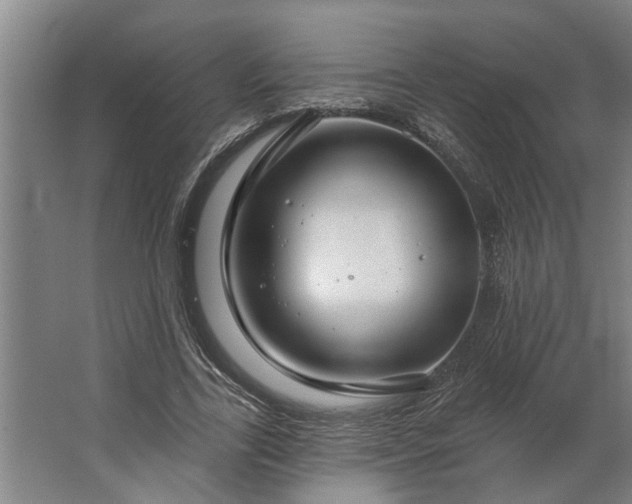 X0000062910731200601271739