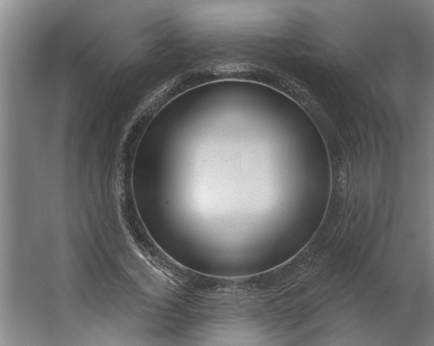 X0000062910732200601271739