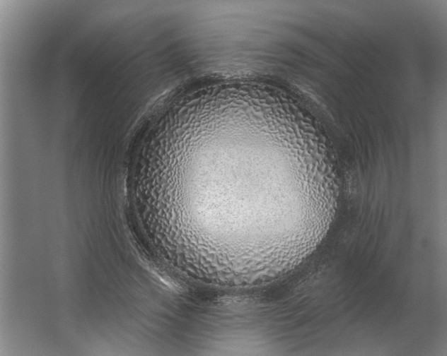 X0000062910733200601271739