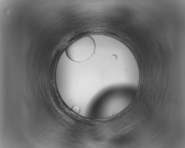 X0000062910734200601271739