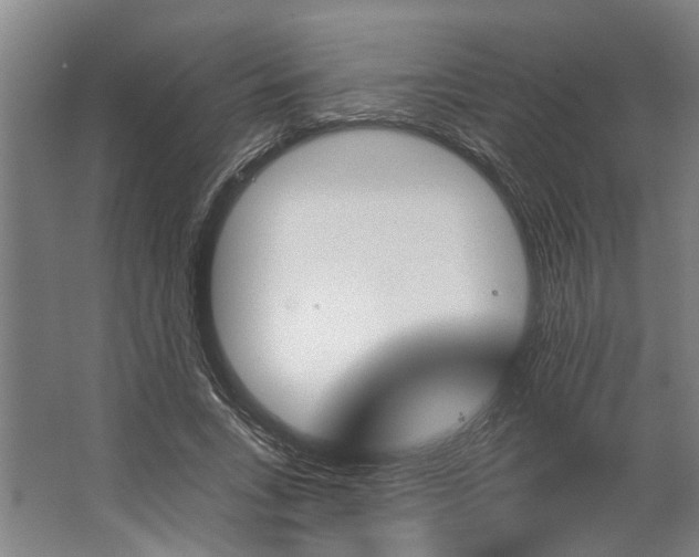 X0000062910735200601271739