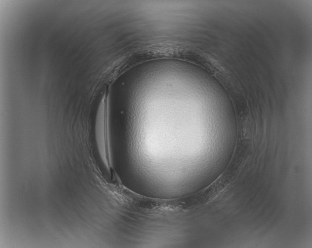 X0000062910737200601271739