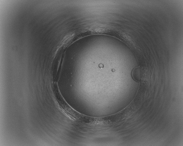 X0000062910738200601271739