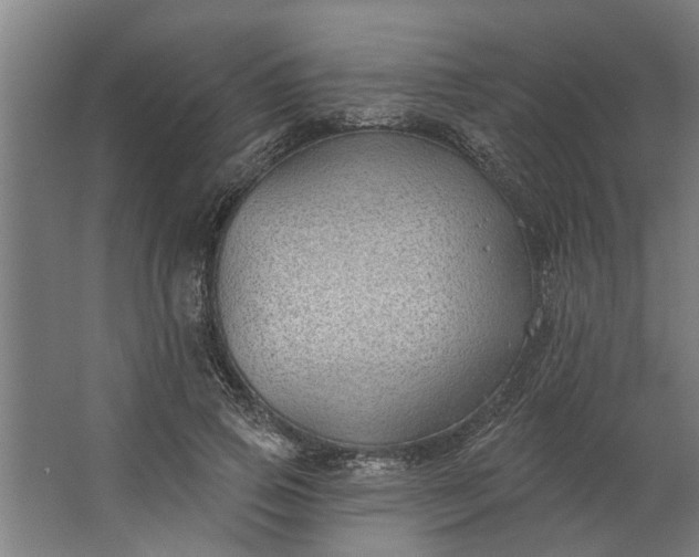 X0000062910741200601271739