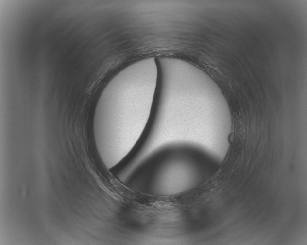 X0000062910742200601271739