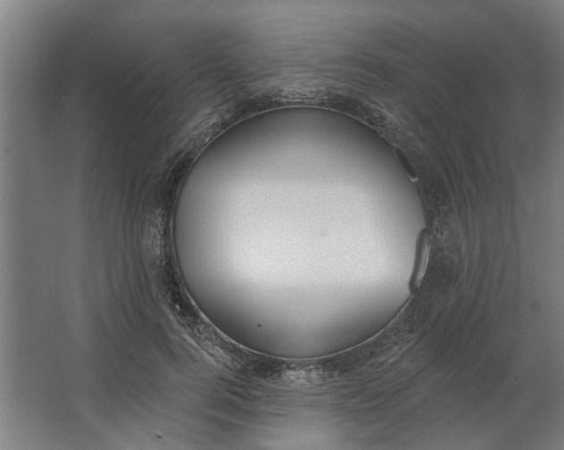 X0000062910744200601271739