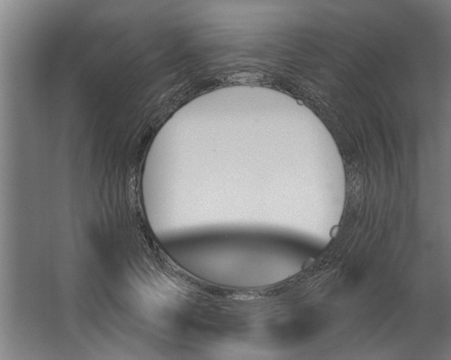 X0000062910745200601271739