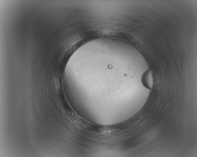 X0000062910746200601271739