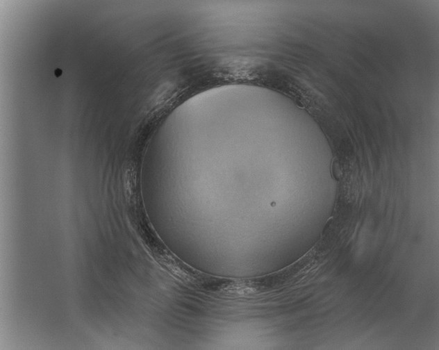 X0000062910747200601271739