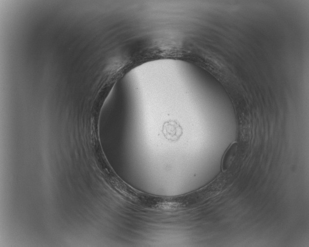 X0000062910748200601271739