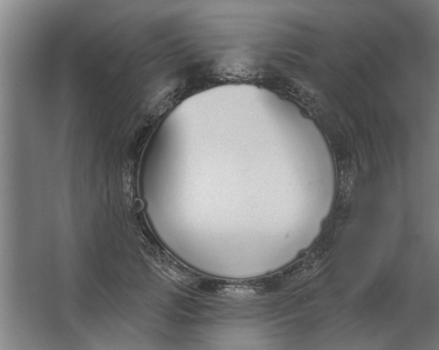 X0000062910749200601271739