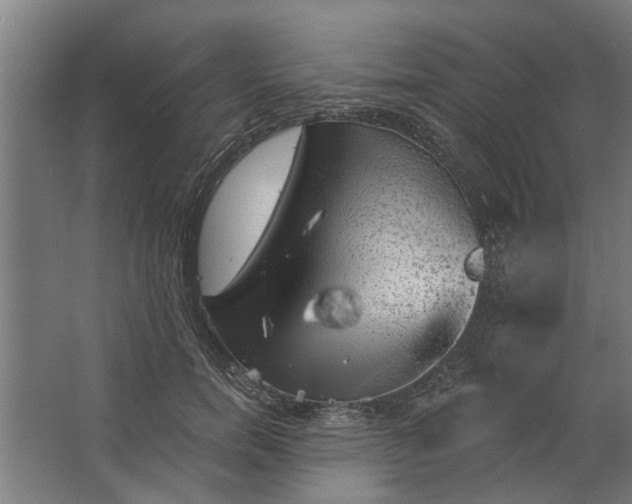 X0000062910750200601271739