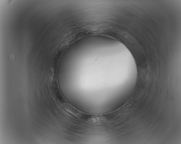 X0000062910752200601271739