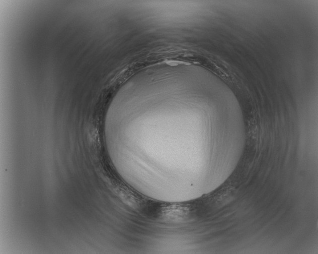 X0000062910754200601271739