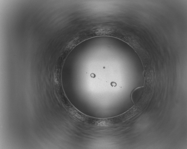 X0000062910755200601271739