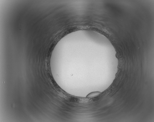 X0000062910757200601271739