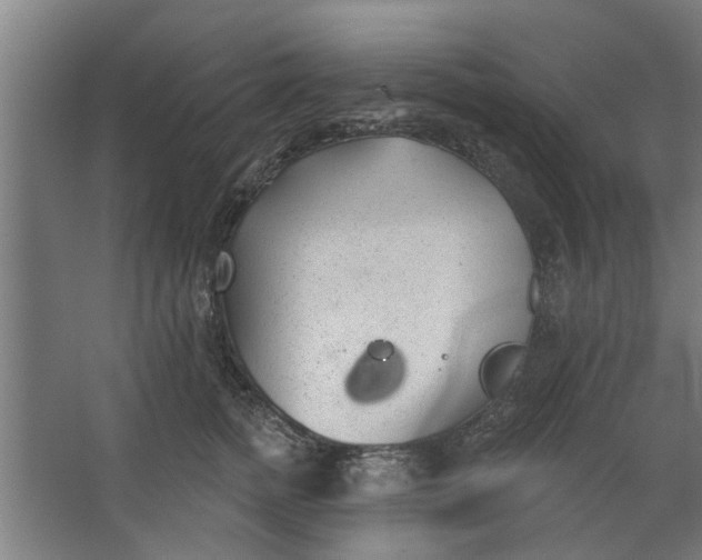 X0000062910758200601271739