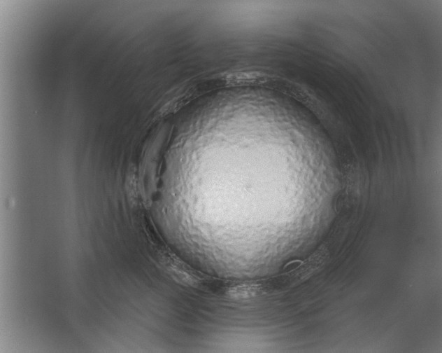 X0000062910761200601271739