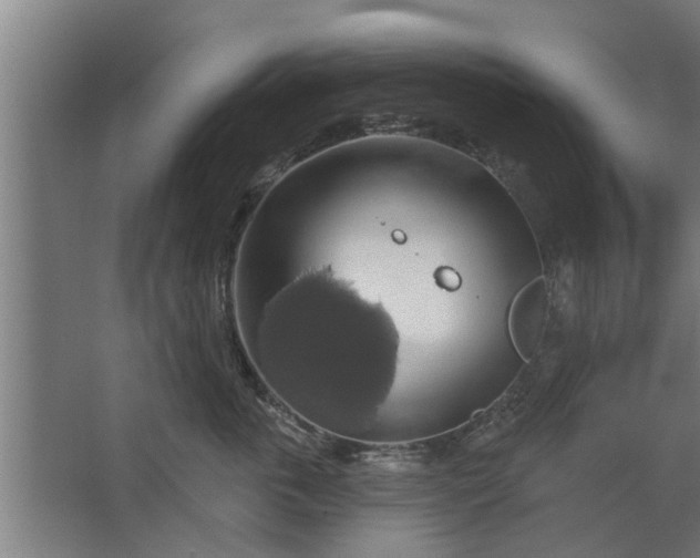 X0000062910763200601271739