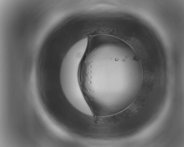 X0000062910765200601271739