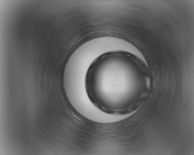 X0000062910766200601271739