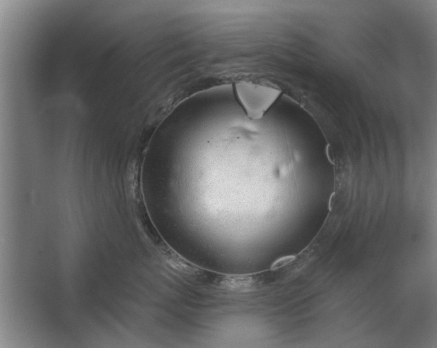 X0000062910767200601271739