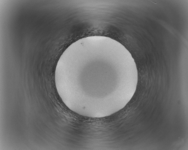 X0000062910769200601271738