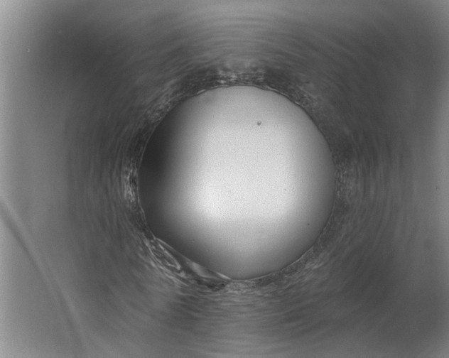 X0000062910770200601271738