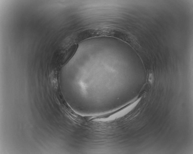 X0000062910771200601271738