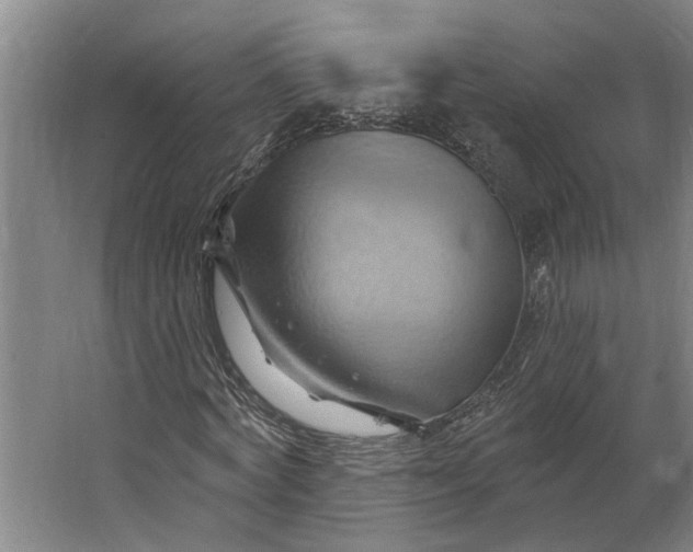 X0000062910772200601271738