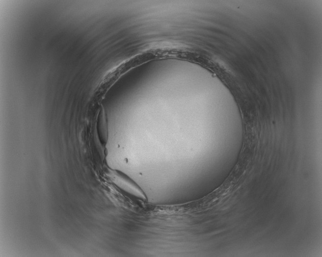 X0000062910775200601271738