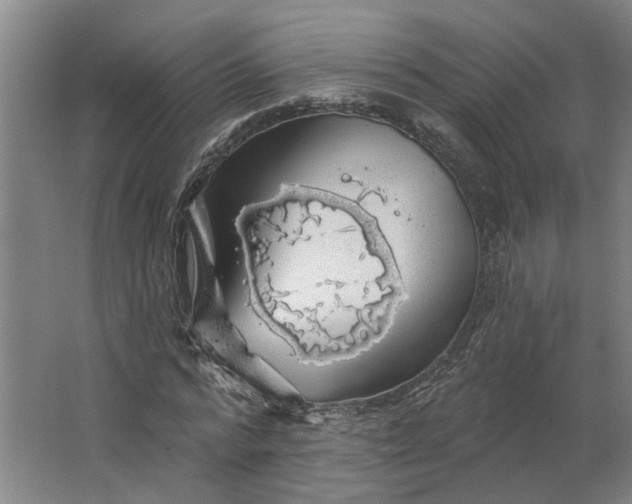 X0000062910776200601271738