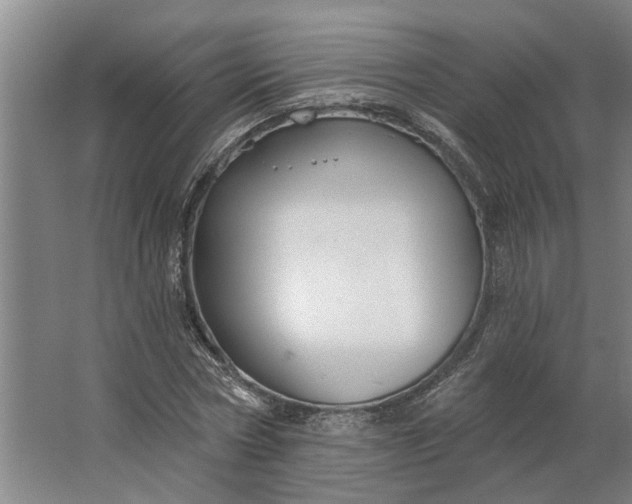 X0000062910778200601271738