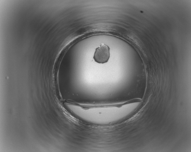 X0000062910779200601271738