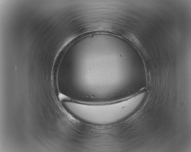 X0000062910780200601271738