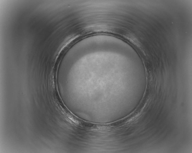 X0000062910782200601271738