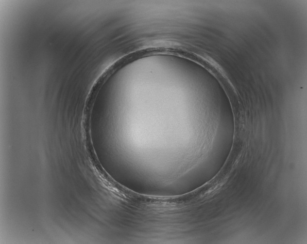 X0000062910783200601271738