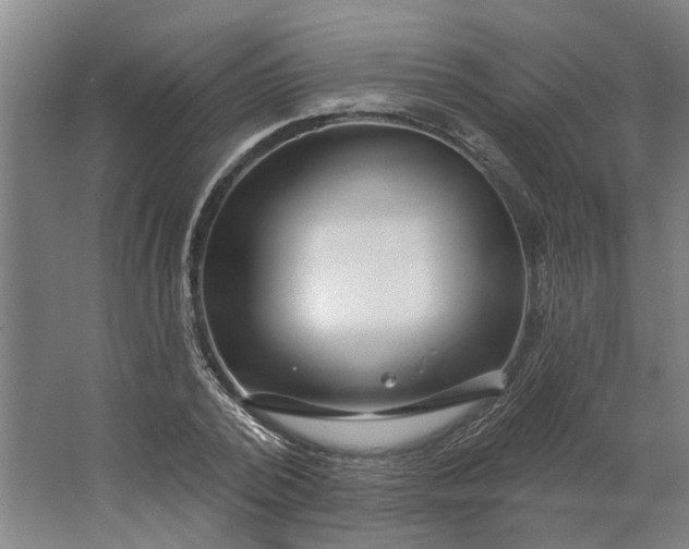 X0000062910784200601271738